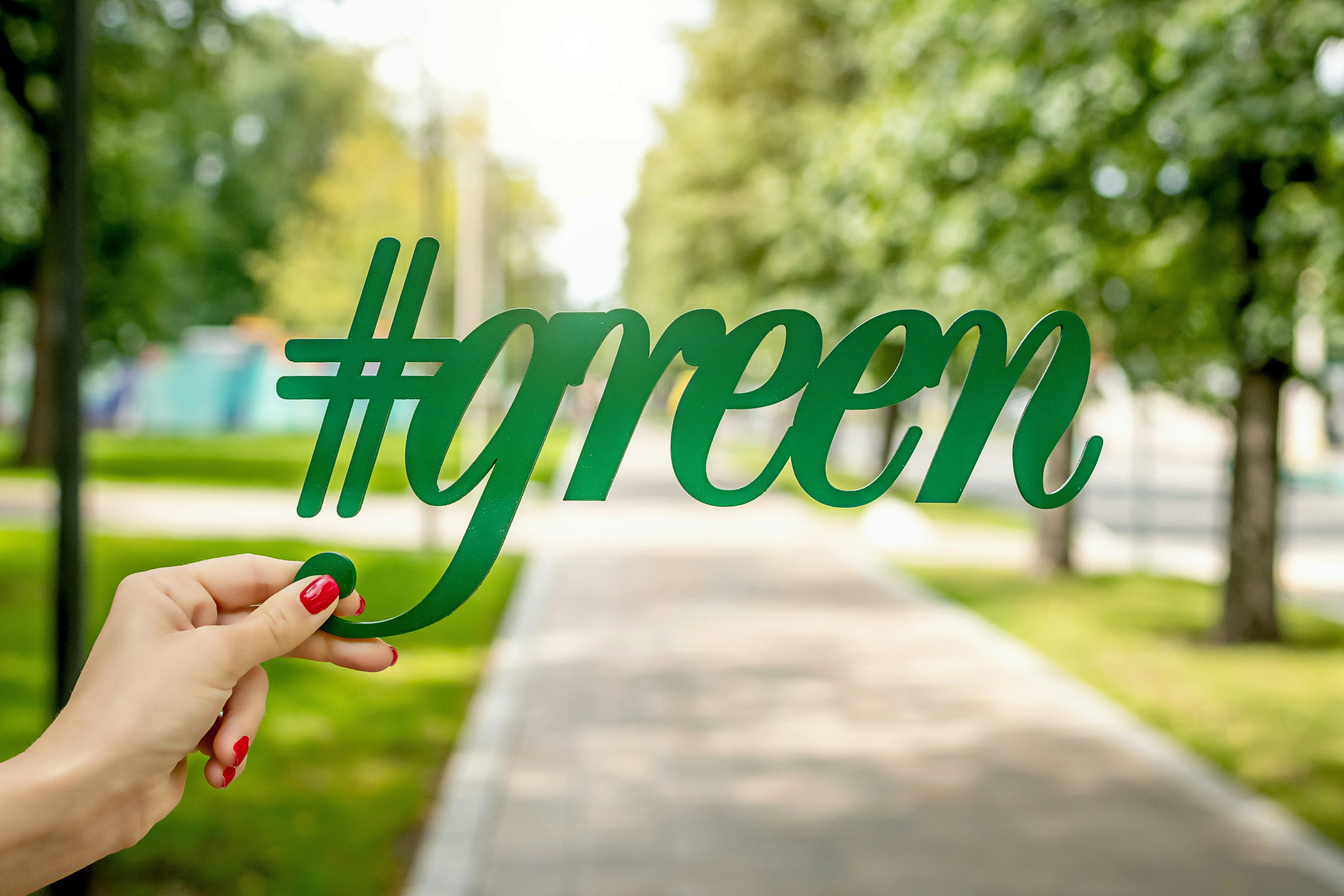 Sostenibilità in Italia imprese green e consumatori esigenti 